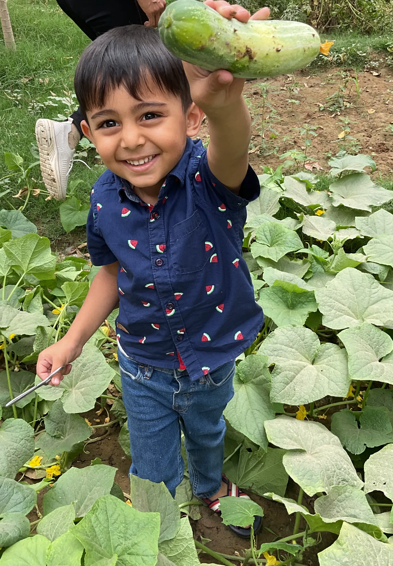 Smiling boy holding a cucumber in a garden surrounded by green plants