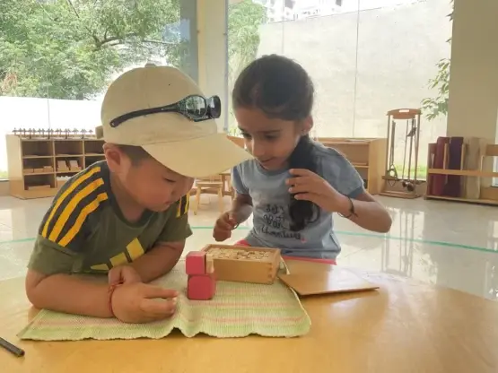 Children working peacefully at wooden tables in bright sunlit Montessori classroom with floor-to-ceiling glass windows