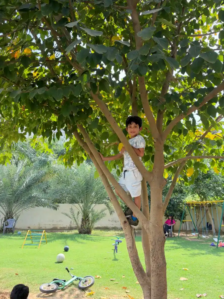 Climbing Real Trees